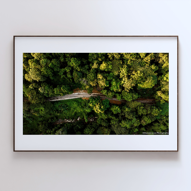THE ONE - AERIAL PRINTS - "Canopy Cut" - LIMITED EDITION 5 of 5