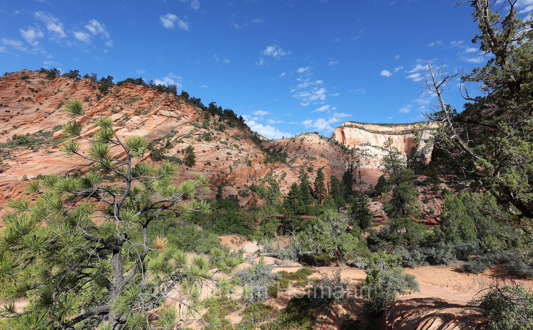 Mount Carmel Highway, Zion National Park, Zion-Nationalpark, Parco nazionale di Zion, Utah, USA