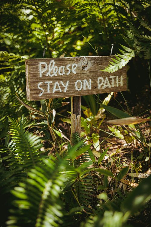 Stay on Path