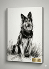 Pack Edição Galeria