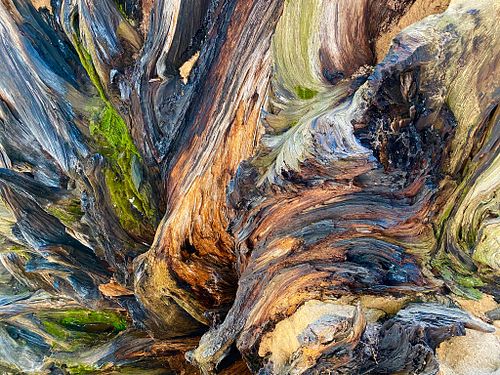 Abstract Images