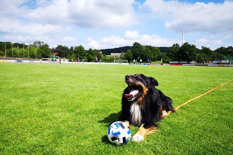 Neustart beim Ibbenbürener Kickers: Endlich wieder gemeinsam auf dem Platz!