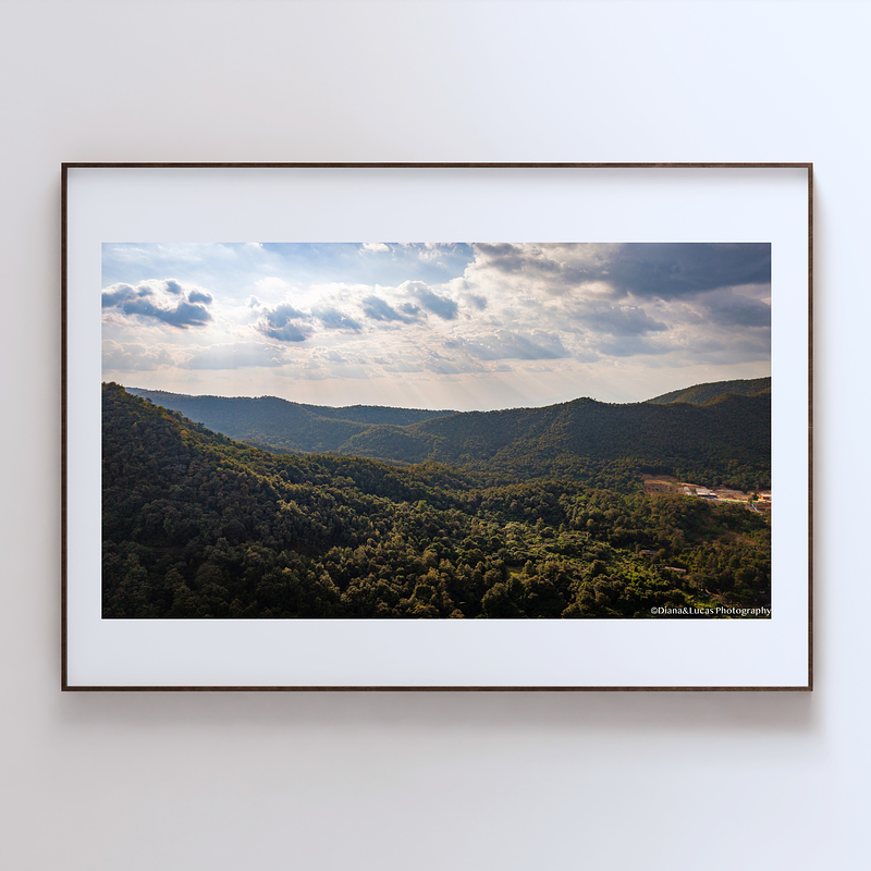 COLLECTION - GIANTS OF THE LAND HORIZONTAL - "Where Light Lands" - LIMITED EDITION 10 of 10