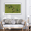 THE ONE - AERIAL PRINTS - "Wild Nature" - LIMITED EDITION 5 of 5