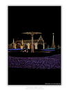 COLLECTION - URBAN GEOMETRY VERTICAL - "Garden of Lights" - LIMITED EDITION 10 of 10