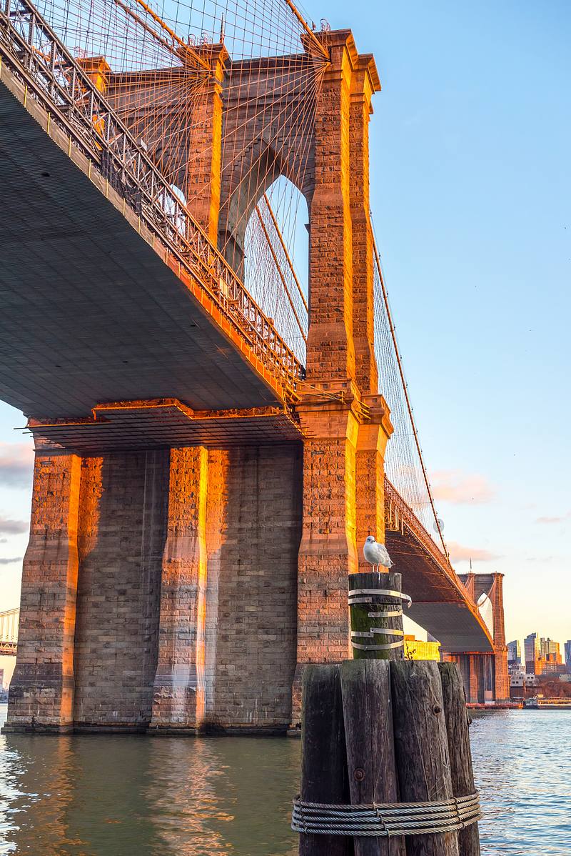 NYC Parks & Bridges