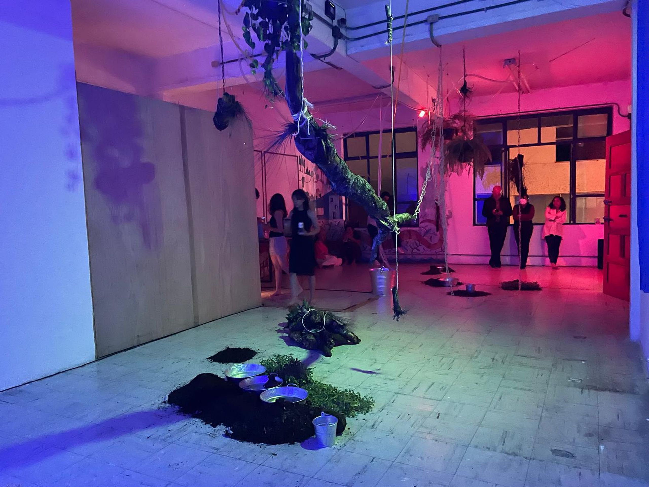 Cadencia y Quiebre