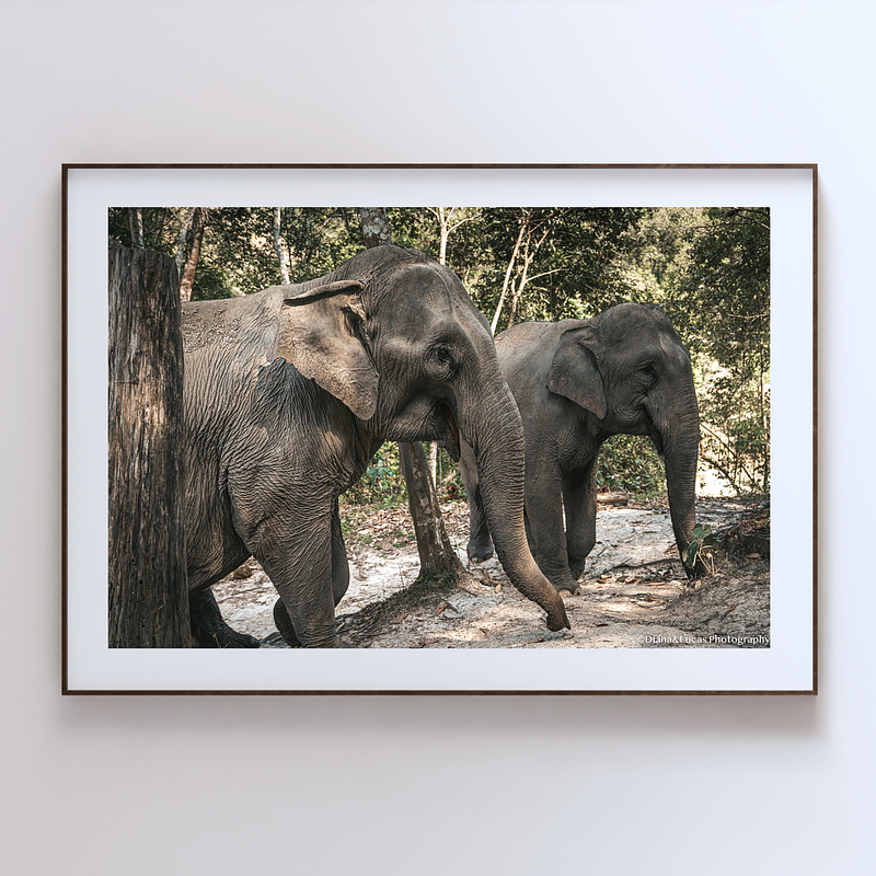 COLLECTION - GIANTS OF THE LAND HORIZONTAL - "Side by Side" - LIMITED EDITION 10 of 10