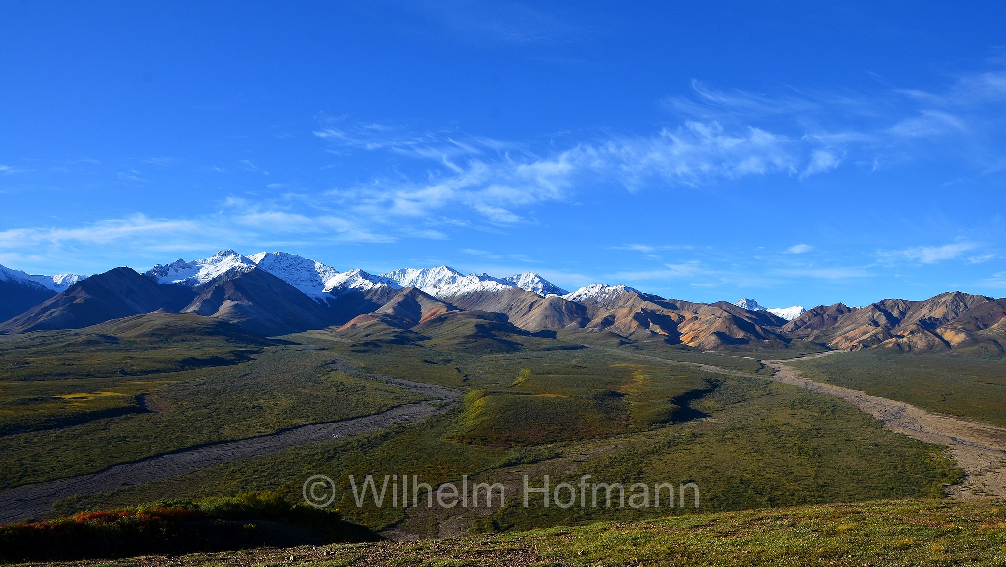 Polychrome Pass, Denali National Park, Denali National Park and Preserve, Denali-Nationalpark, Parco nazionale del Denali, Alaska, USA