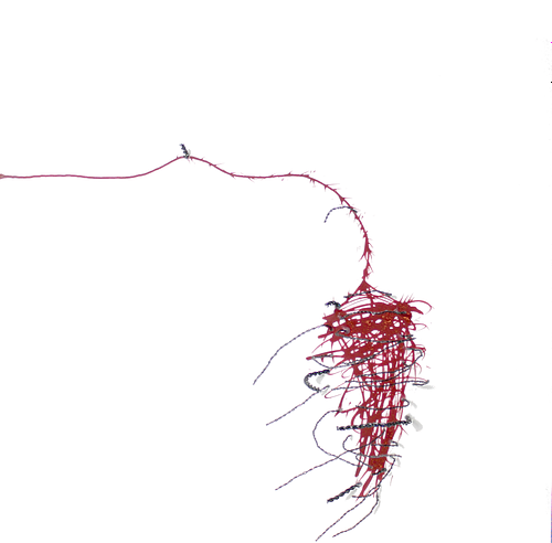 MAPPING MY ROLLOVER