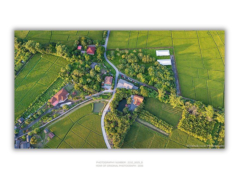 COLLECTION - FROM ABOVE HORIZONTAL - "The Village Between Fields" - LIMITED EDITION 10 of 10