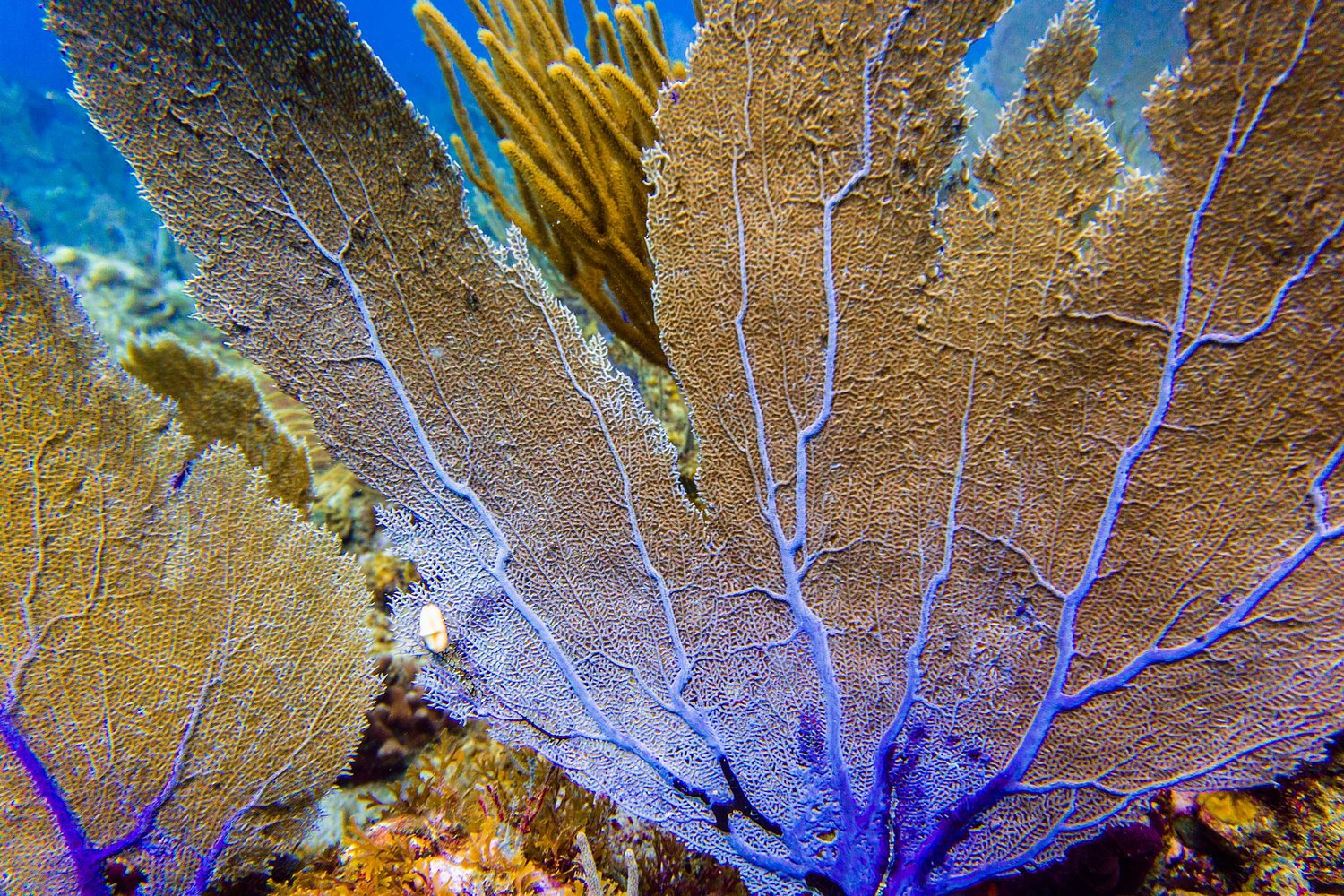 USVI.Photos