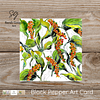 Black Pepper | Botanical Art Card | Watercolour Original Illustration | with Envelope