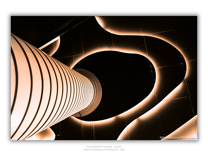COLLECTION - URBAN GEOMETRY HORIZONTAL - "Organic Curves" - LIMITED EDITION 10 of 10