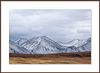 Altai's Stilte