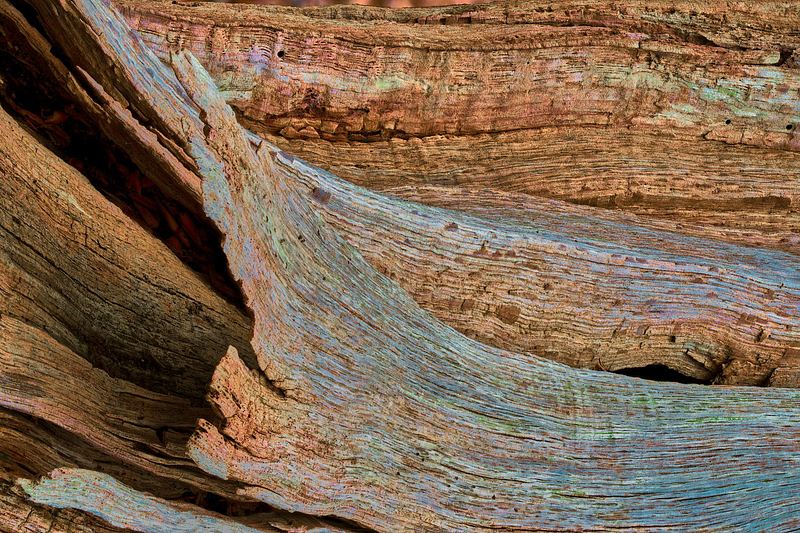 Abstracte natuurfotografie (4 juli 2026)