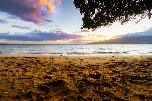 Maui Moods