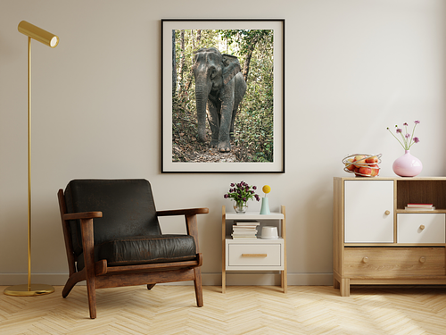 Made for Big Walls