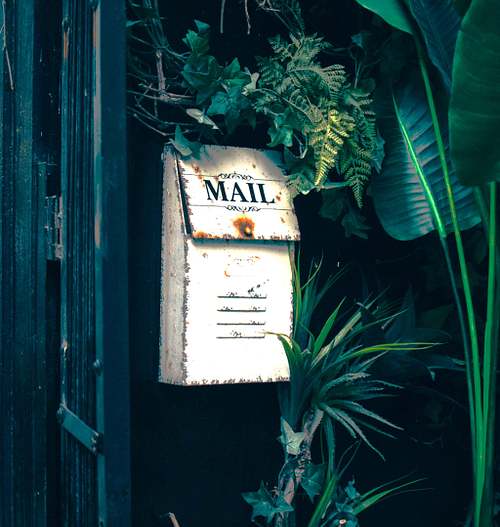 Join Newsletter