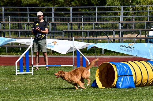 koerte frisbi voistlus 2026