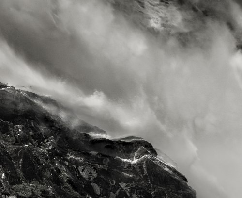 Abstract Nature Photography