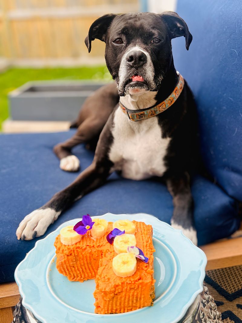 Let's Bark About It: Beefcake For My Beefcake