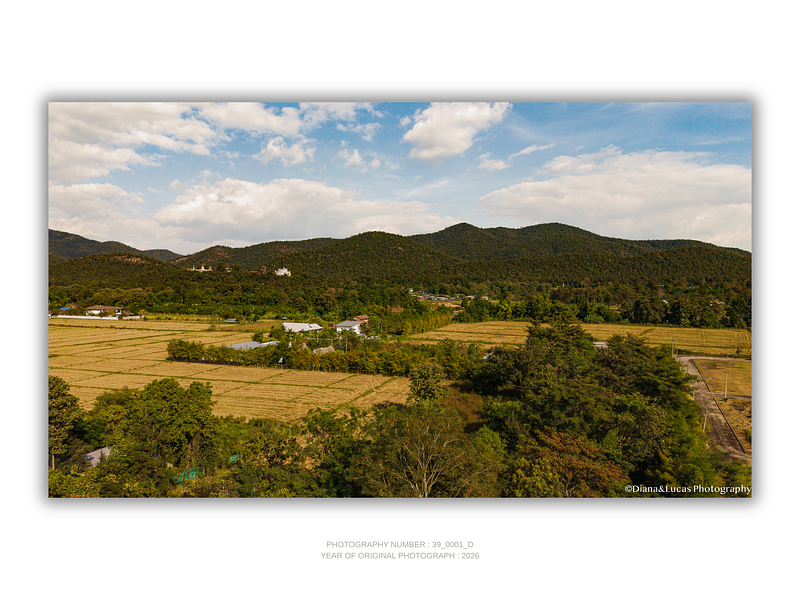 COLLECTION - FROM ABOVE HORIZONTAL - "The Quiet Valley" - LIMITED EDITION 10 of 10