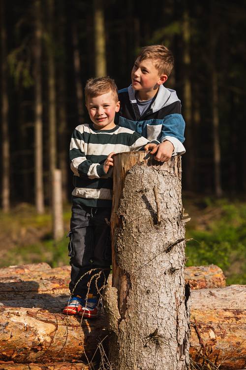Zwei Brüder stehen lächelnd im Wald auf gestapelten Baumstämmen und halten sich an einem großen Holzstamm fest.