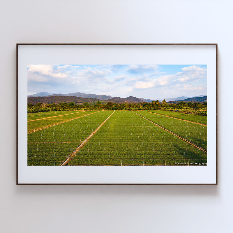 COLLECTION - FROM ABOVE HORIZONTAL - "Straight to the Horizon" - LIMITED EDITION 10 of 10