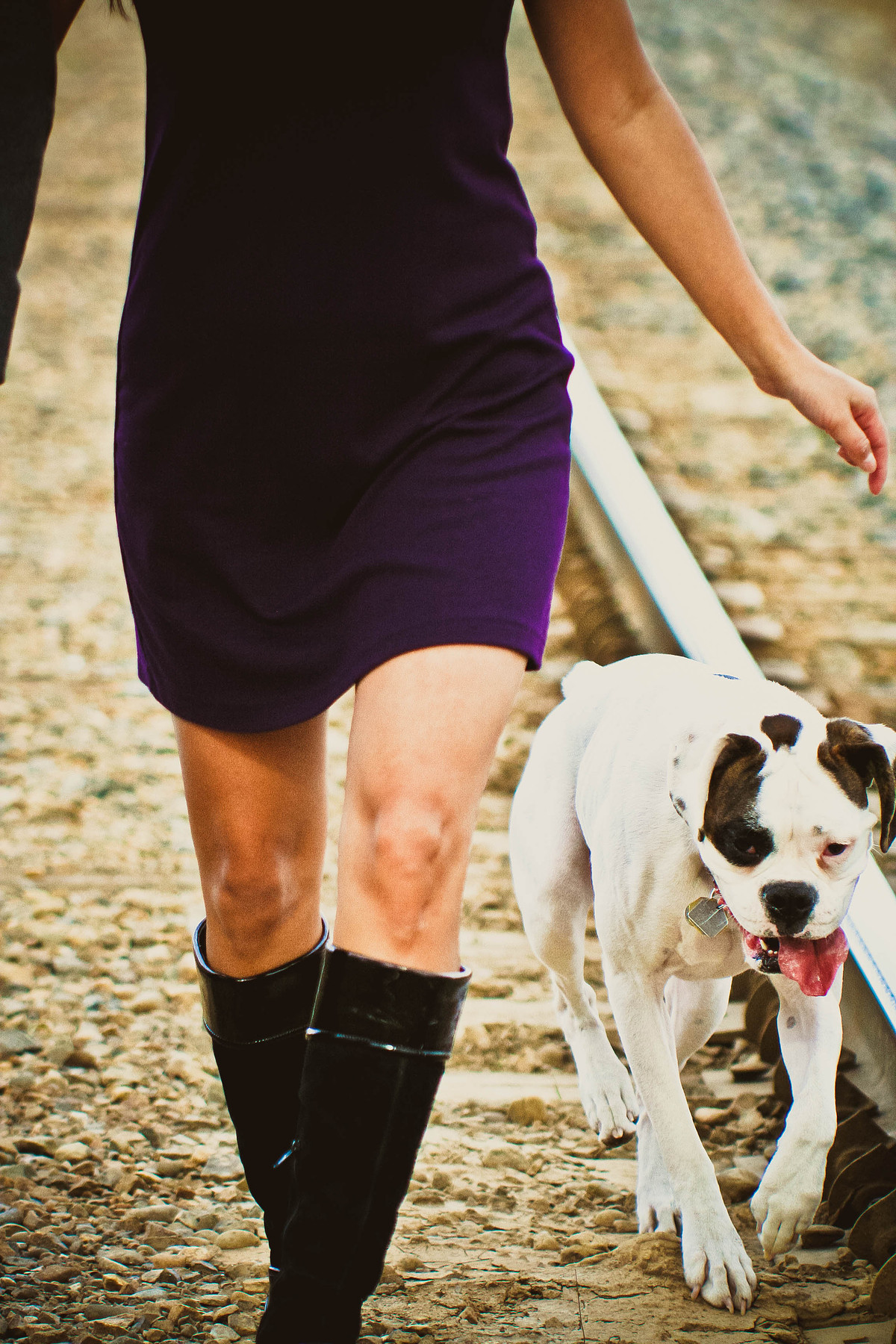 White boxer dog and ladies legs walking