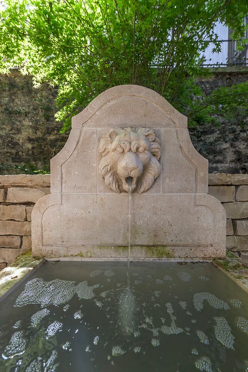 Fontaine en pierre sculptée avec tête de lion dans l’appartement haussmannien de 400 m² rue du Faubourg Saint-Honoré. Photographie d’architecture intérieure par Nicolas Karadimos.