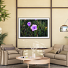 THE ONE - WILDLIFE & NATURE - "Amethyst Bloom" - LIMITED EDITION 5 of 5