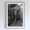 COLLECTION - GIANTS OF THE LAND VERTICAL - "Framed by Jungle" - LIMITED EDITION 10 of 10