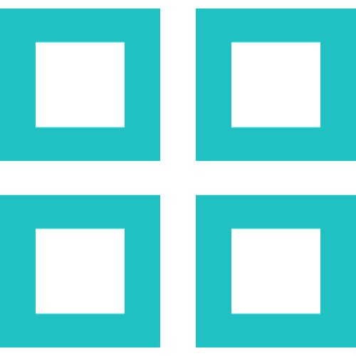 Visual Systems