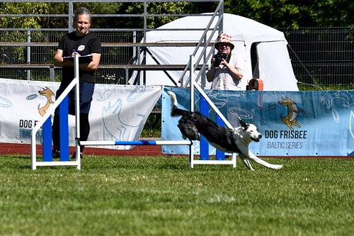 koerte frisbi voistlus 2026