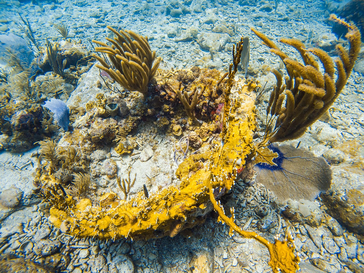 USVI.Photos