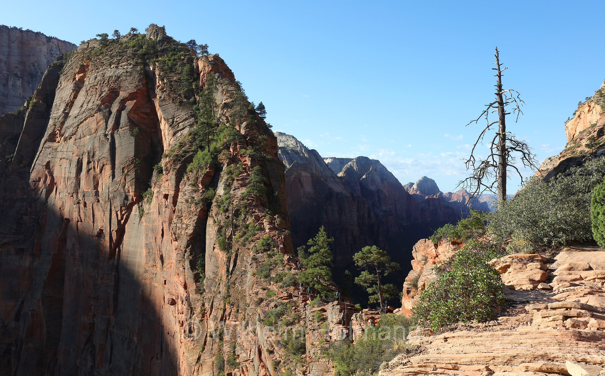 Angel's Landing Trail, ﻿Zion National Park, Zion-Nationalpark, Parco nazionale di Zion, Utah, USA