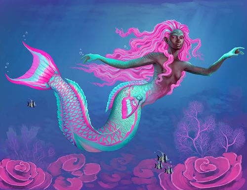 Reef Keeper