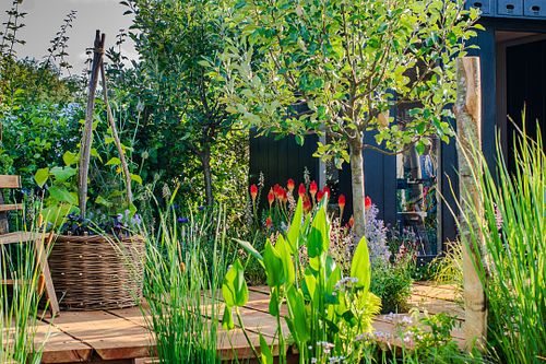 Garden, Landscape & Outdoor Living Photography