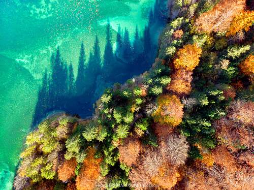 Alpine Lake detail
