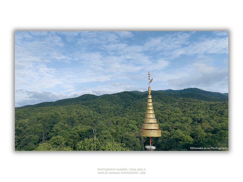 THE ONE - QUIET ICONS - "Gold End" - LIMITED EDITION 5 of 5