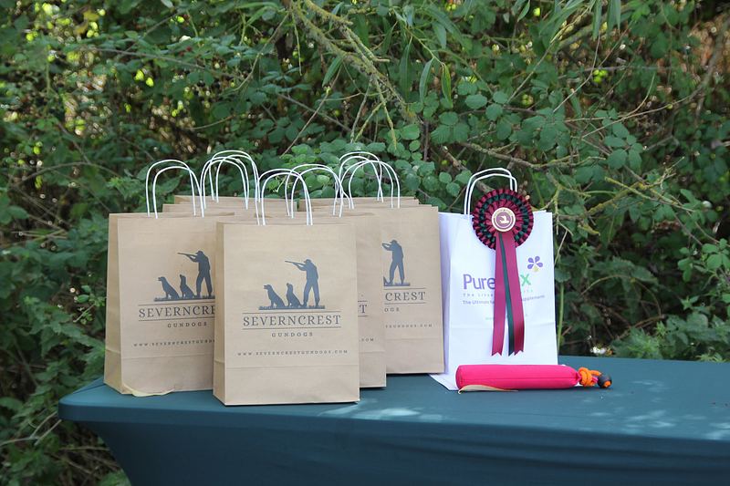 Severncrest Gundogs 2025