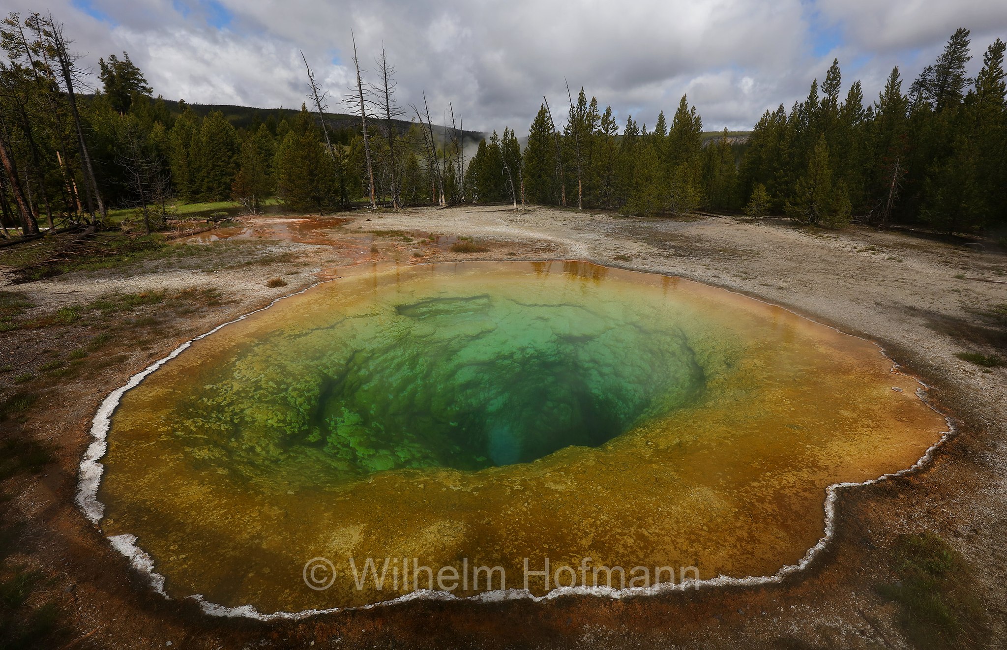 Morning Glory Pool, Upper Geyser Basin, Yellowstone National Park, Yellowstone-Nationalpark﻿, parco nazionale di Yellowstone, Wyoming, USA