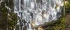 Enchantment (Pano) - Limited Edition Photograph | Giclée Print - Loose | 35"W X 15"H
