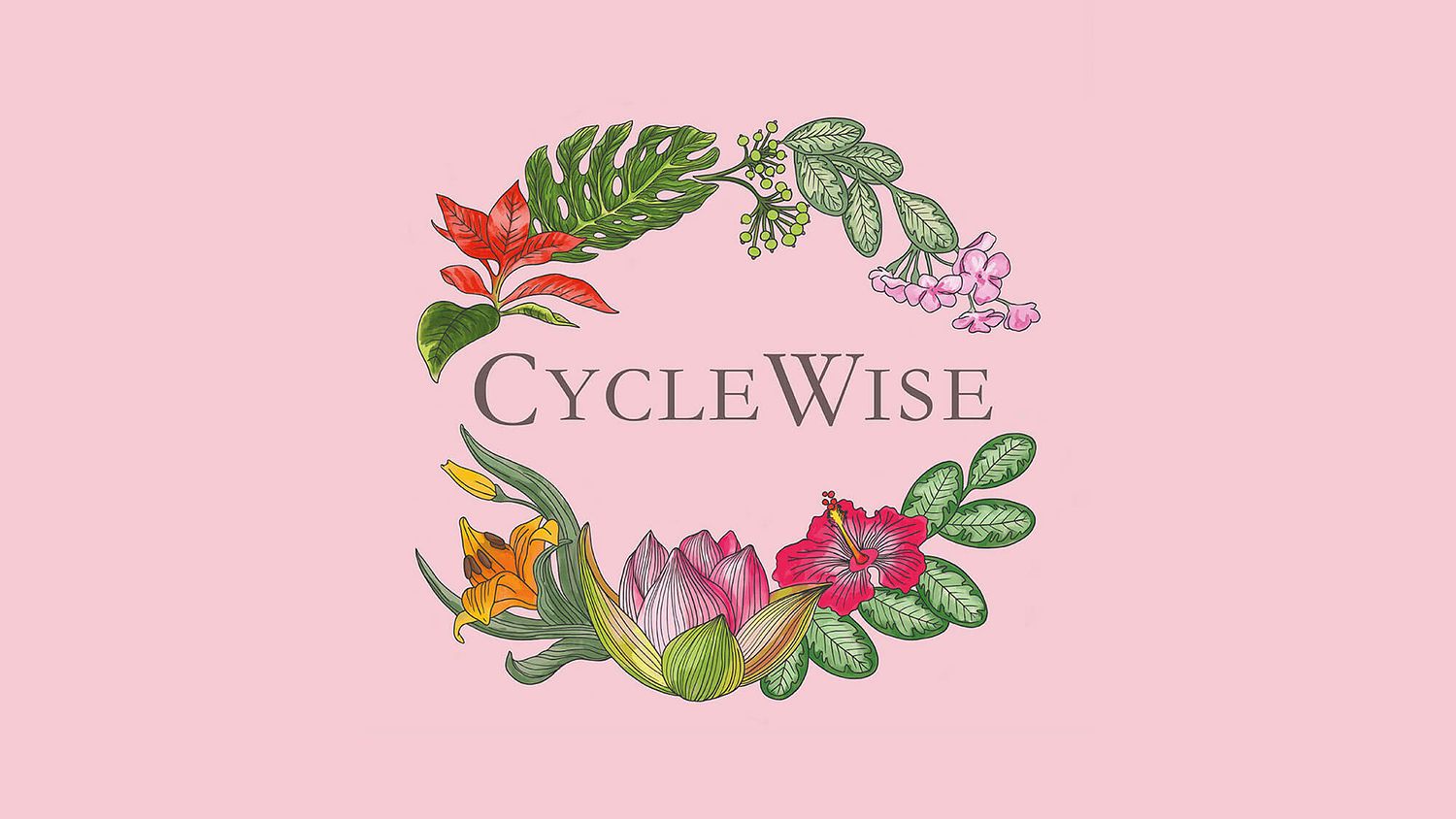 hand-drawn logo design for Cycle Wise