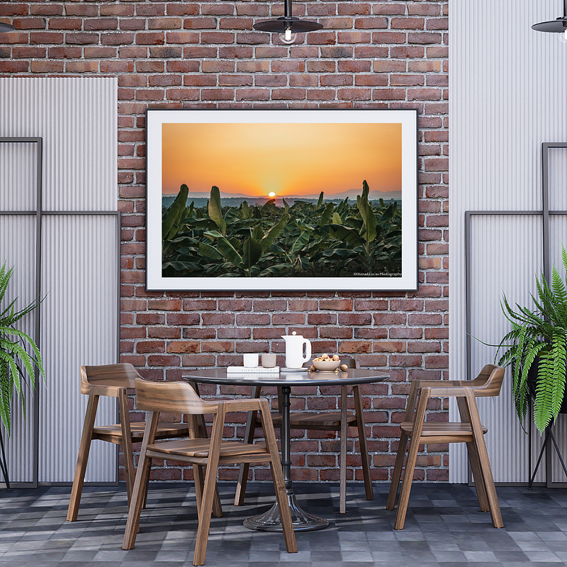 COLLECTION - GIANTS OF THE LAND HORIZONTAL - "The Last Minute" - LIMITED EDITION 10 of 10