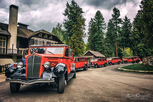 Red Buses