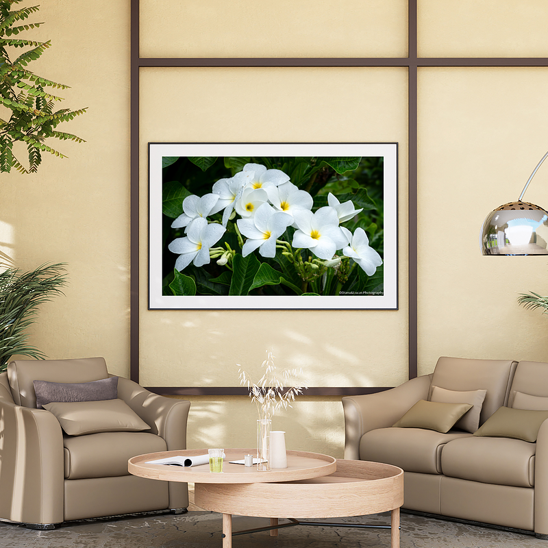 THE ONE - WILDLIFE & NATURE - "White Plumeria" - LIMITED EDITION 5 of 5