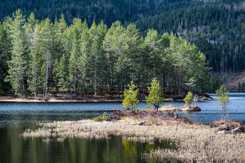 Am Hoensvannet