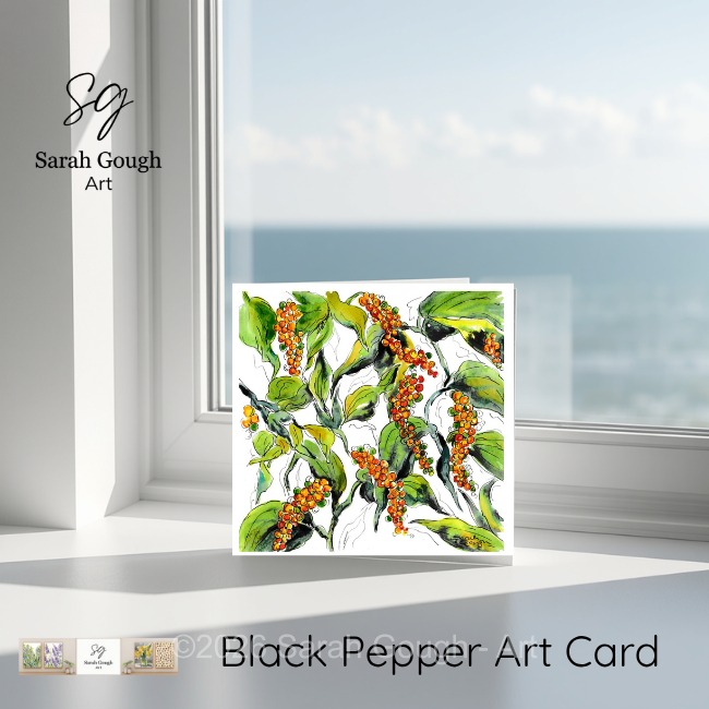 Black Pepper | Botanical Art Card | Watercolour Original Illustration | with Envelope